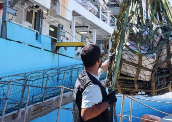 Un agente de seguridad observa la descarga de droga que transportaban en un barco