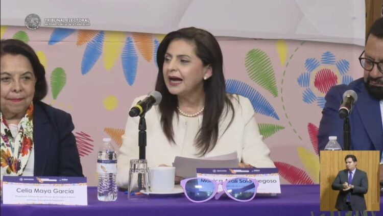 Mónica Soto renuncia como magistrada de la Sala Superior del Tribunal Electoral
