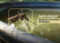 dengue, chikungunya y zika
