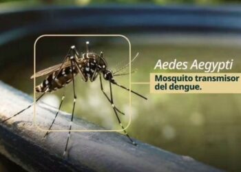 dengue, chikungunya y zika