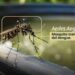 dengue, chikungunya y zika