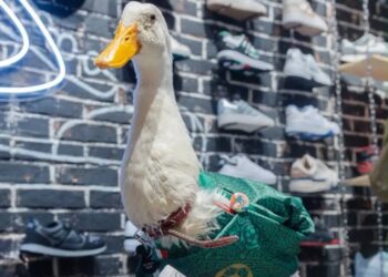 ¿Fan del Pato Merlín? Ahora podrás traerlo en tus tenis