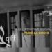 Parió la cochi cortometraje del GIFF