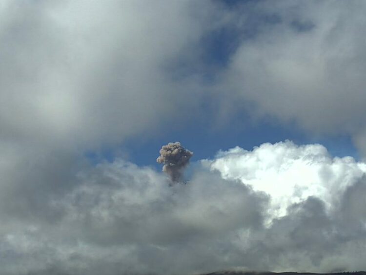 El Popocatépetl registró 74 exhalaciones con vapor, gases volcánicos y ceniza durante las últimas 24 horas. | AMEXI/FOTO: Cenapred