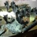 La Semar localiza y desactiva bombas caseras en Sinaloa