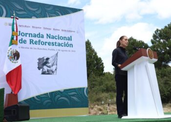 Sheinbaum encabeza Jornada Nacional de Reforestación en Puebla