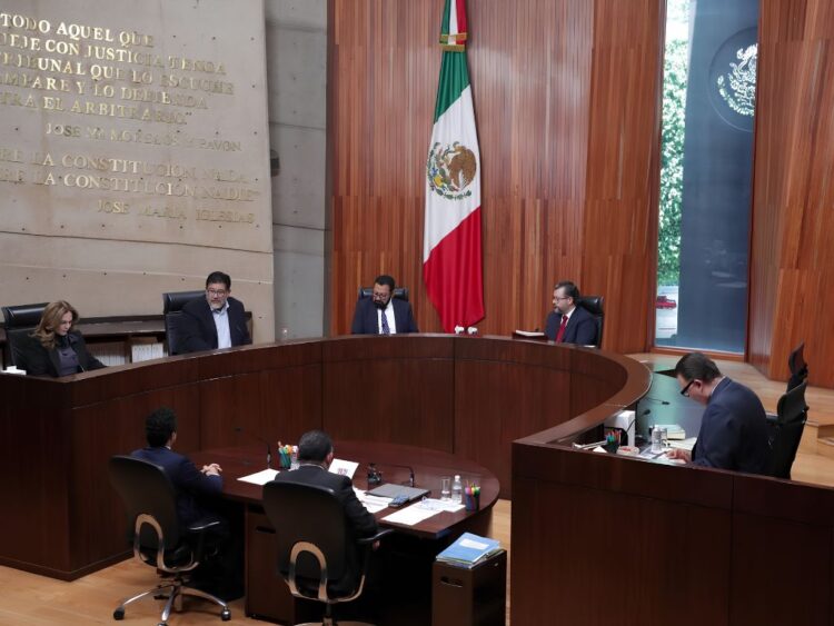 El pleno del TEPJF dejó sin efectos la variable del monitoreo del INE relativa a los mecanismos indirectos de descalificación de personas precandidatas o candidatas. AMEXI/Foto: TEPJF