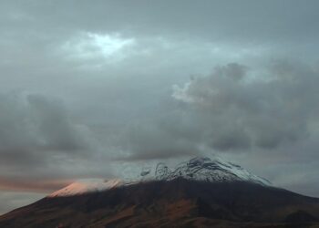 El Popocatépetl registró 12 exhalaciones con vapor, gases y ceniza. | AMEXI/FOTO: Cenapred