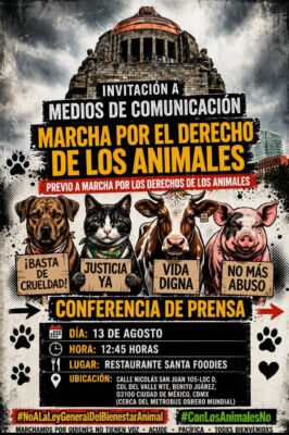 Fecha y ubicación del evento en la colonia Del Valle