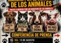 Convocan marcha por derechos de animales en Benito Juárez