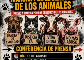 Convocan marcha por derechos de animales en Benito Juárez