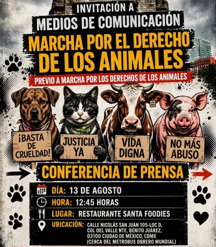Convocan marcha por derechos de animales en Benito Juárez