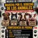 Convocan marcha por derechos de animales en Benito Juárez
