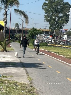 a amenaza ya no es "te voy a quitar a los niños", sino "prepárate porque vas a pagar la pensión del perro"