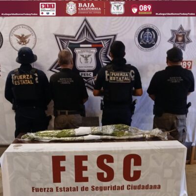 personal de la FGR realizó las diligencias correspondientes y ordenó la erradicación e incineración del plantío.