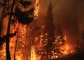 Sin control, cel incendio "Bald Range" en la región del lago Okanagan, en Canadá.