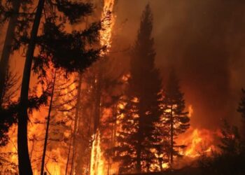 Sin control, cel incendio "Bald Range" en la región del lago Okanagan, en Canadá.
