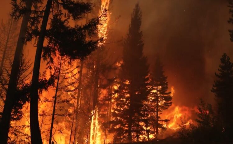 Sin control, cel incendio "Bald Range" en la región del lago Okanagan, en Canadá.