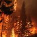 Sin control, cel incendio "Bald Range" en la región del lago Okanagan, en Canadá.