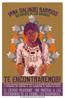 El antecedente de la ambientalista Irma Galindo