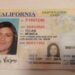En Los Ángeles, California localizan a la mexicoestadounidense Mónica Rojas Uribe, quien permanecía en situación de calle. AMEXI/FOTO/ CIMMM