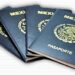 Páginas en línea que ofrecen pasaportes falsos continúan operando, alerta Moreira