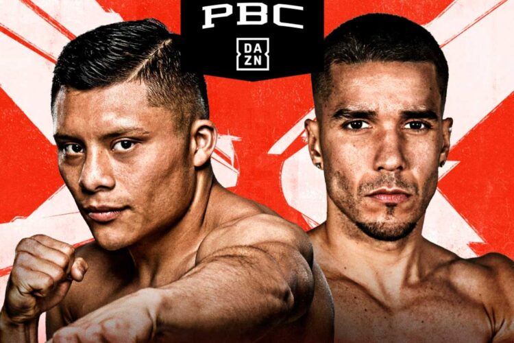 Pitbull Cruz