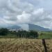 Explosión de polvorín en Coscomatepec deja una persona sin vida en Veracruz