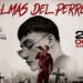 “Almas del Perreo” se realizará el 24 de octubre en Chalco, con El Malilla, más de 40 talentos, DJs, creadores y temática de Halloween. | AMEXI/FOTO: IG