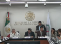 Senadores modifican reforma a “Ley Antimemes”; establecen de 1 a 5 años de prisión