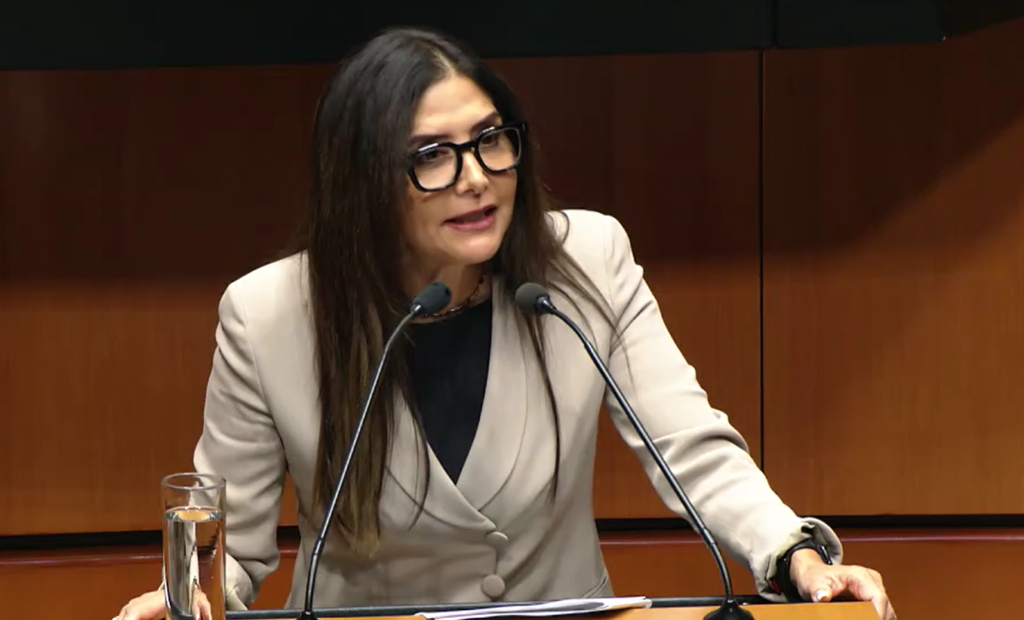 La vicecoordinadora de MC, Alejandra Barrales, sostuvo que la reforma podría afectar la libertad de expresión