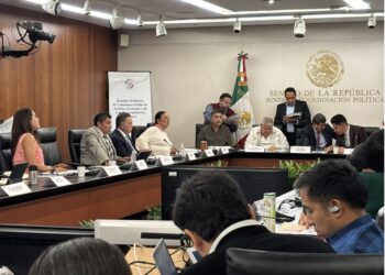 Comisiones del Senado modifican reforma sobre identidad oficial. AMEXI Foto Senado de México