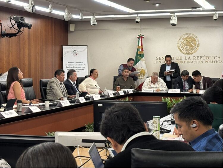 Comisiones del Senado modifican reforma sobre identidad oficial. AMEXI Foto Senado de México