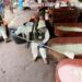 Desmantelan laboratorio clandestino en Zitácuaro, Michoacán.