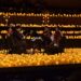 Cuarteto de cuerdas interpreta canciones de Juan Gabriel en un concierto Candlelight iluminado por velas en El Cantoral.