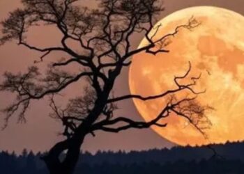 Luna llena brillante en el cielo nocturno, representativa de la Luna de la Cosecha 2026.