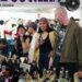 Mezcalfest.mx celebrará su XIII edición con productores de mezcal, arte, música y gastronomía en la colonia Roma Sur de Ciudad de México.