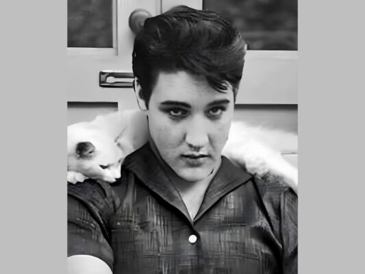 Gato con Elvis. Pinterest
