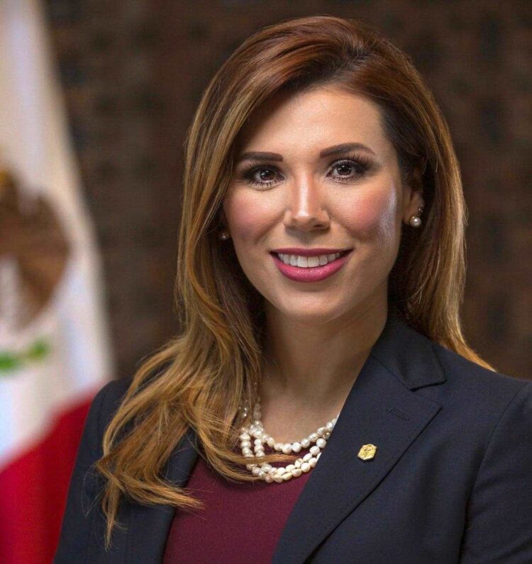 Campaña INE