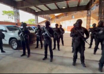 Grupo Crimen Organizado