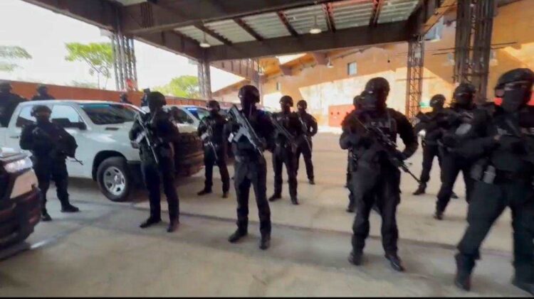 Grupo Crimen Organizado