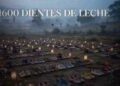 Dientes Leche