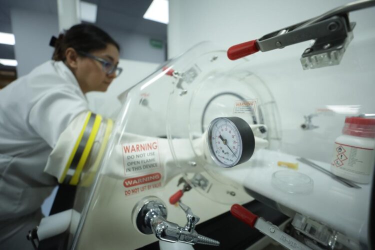 IPN crea parches personalizados para cicatrizar heridas graves