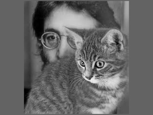 Lennon y su gato Elvis. AMEXI Foto