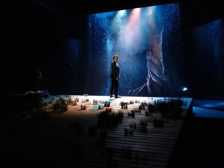 Nocturno realiza alfombra roja con famosos y estrellas