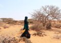 El Programa Mundial de Alimentos (PMA) alertó sobre los efectos de El Niño en el mundo