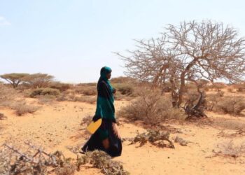 El Programa Mundial de Alimentos (PMA) alertó sobre los efectos de El Niño en el mundo