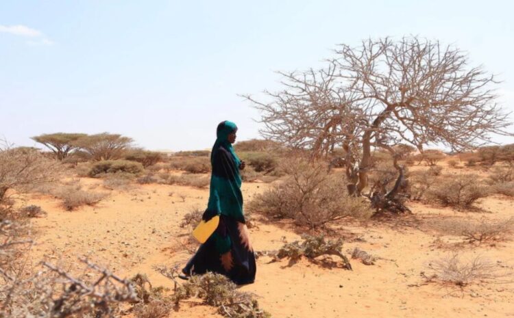 El Programa Mundial de Alimentos (PMA) alertó sobre los efectos de El Niño en el mundo