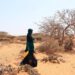 El Programa Mundial de Alimentos (PMA) alertó sobre los efectos de El Niño en el mundo