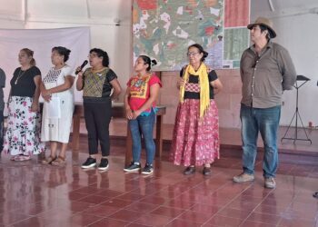 La autonomía indígena